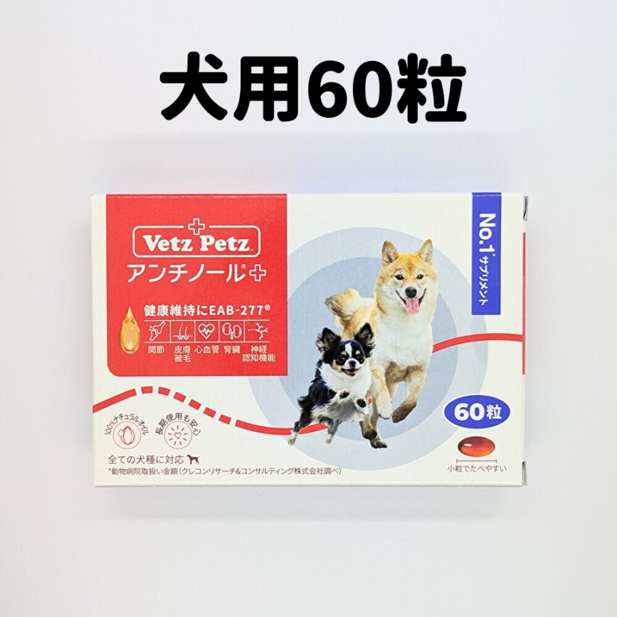 アンチノール プラス 犬 犬用 60粒 60 犬用サプリメント 60粒 送料無料 CCC の商品画像
