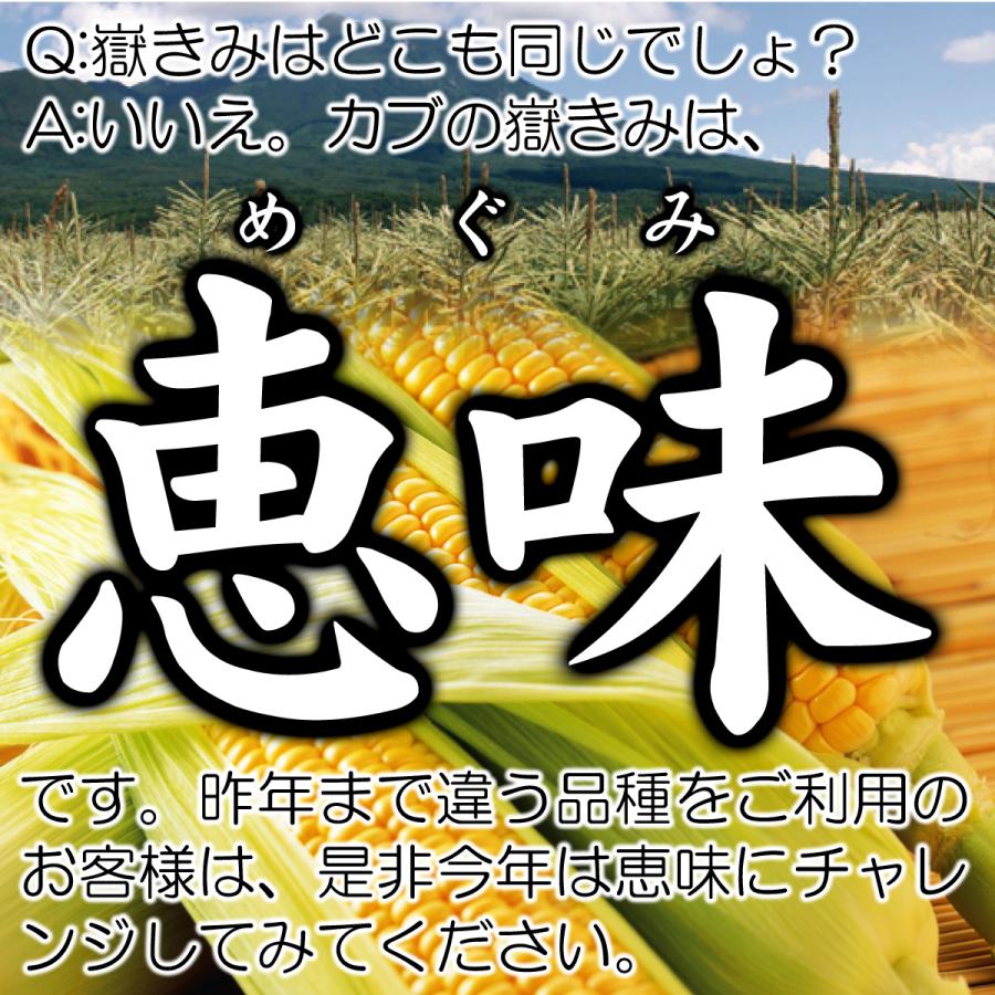 ご注文は8月12日まで 嶽きみ めぐみ 2Lサイズ 10本 ギフト 青森