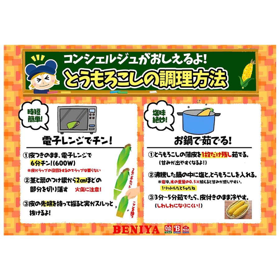 ご注文は8月12日まで 嶽きみ めぐみ 2Lサイズ 10本 ギフト 青森