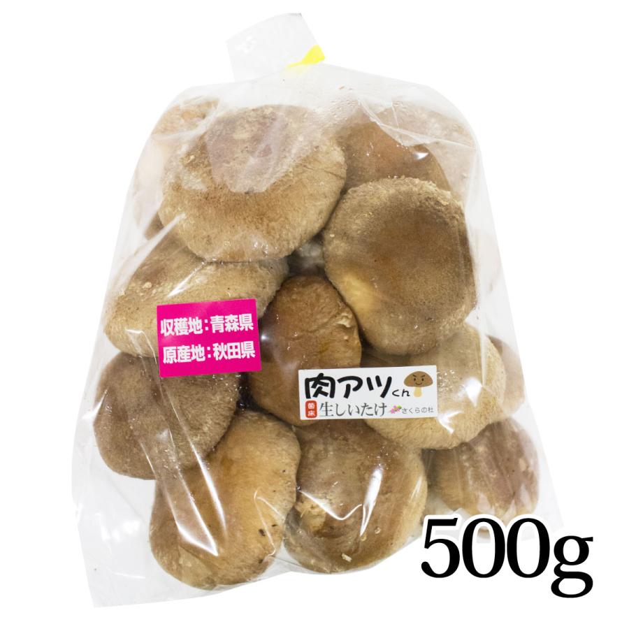菌床 肉厚 生しいたけ 500g 常温 おためし 青森県 弘前市 さくらの杜