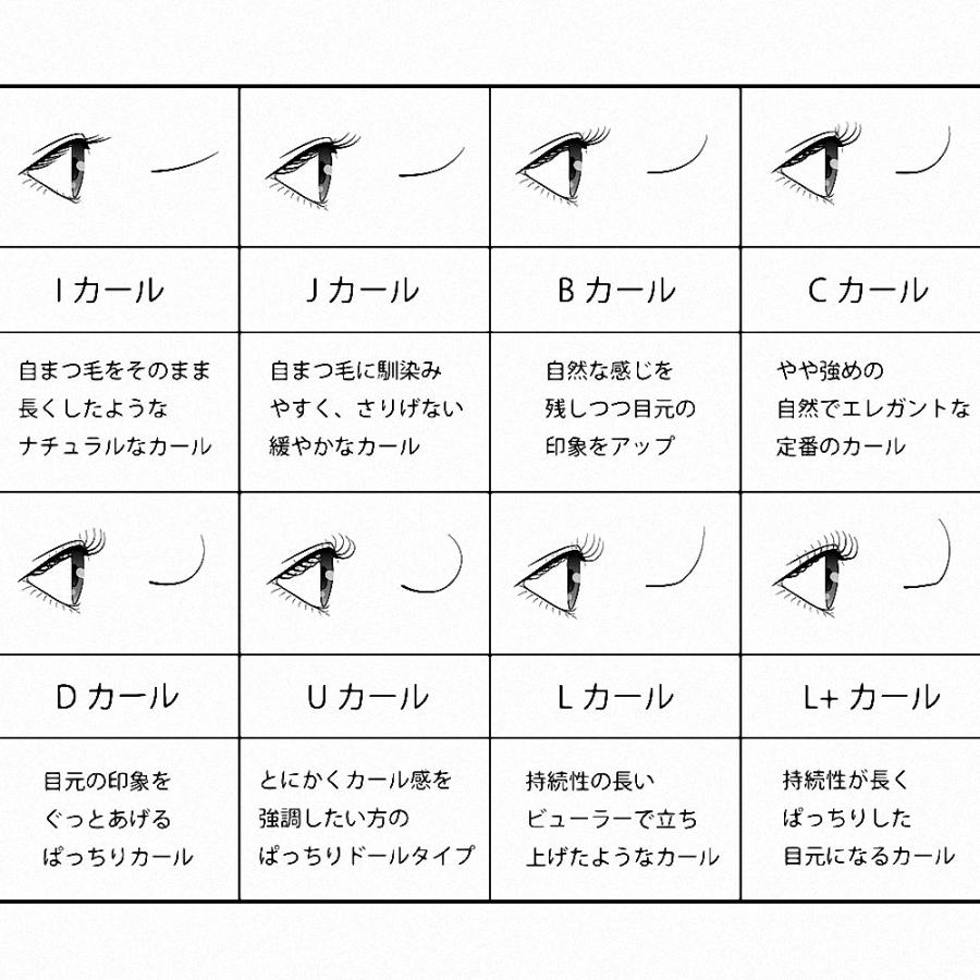 ラローナ [ LALONA ] ファンラッシュ ( 14本束 ) Cカール 60pcs まつげ