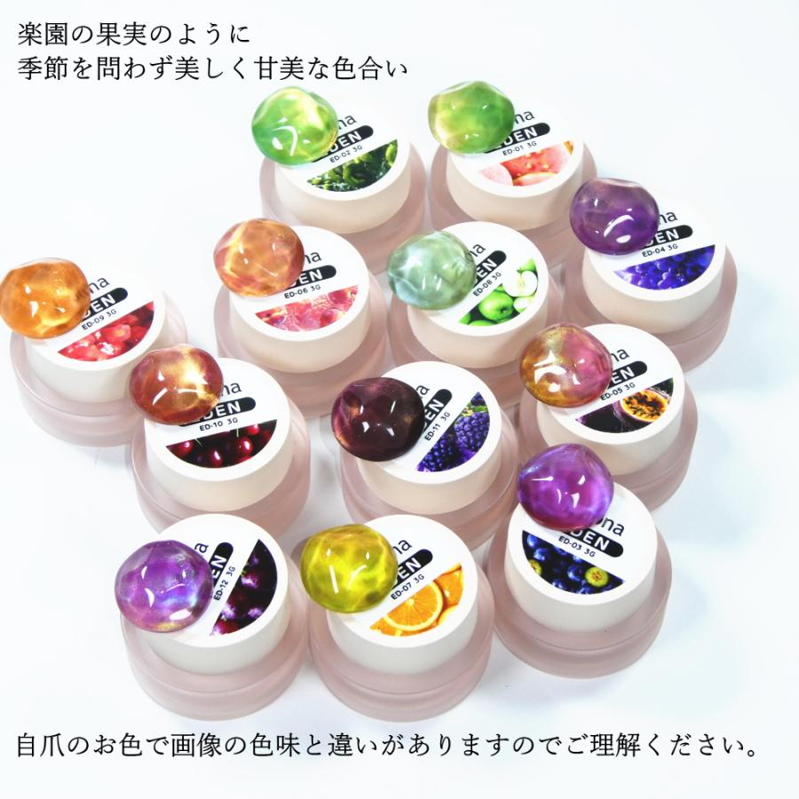 ラローナ [ LALONA ] EDEN〜楽園〜マグネットジェル ( 12色セット