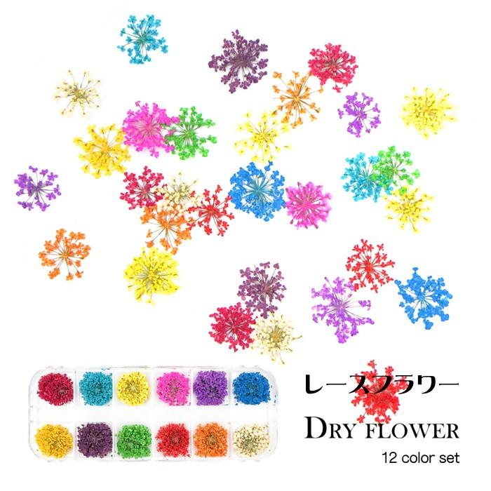 91 以上節約 Lalona レースフラワー ドライフラワー 12色セット ネイル レジン ハンドメイド ジェルネイル Heartlandgolfpark Com