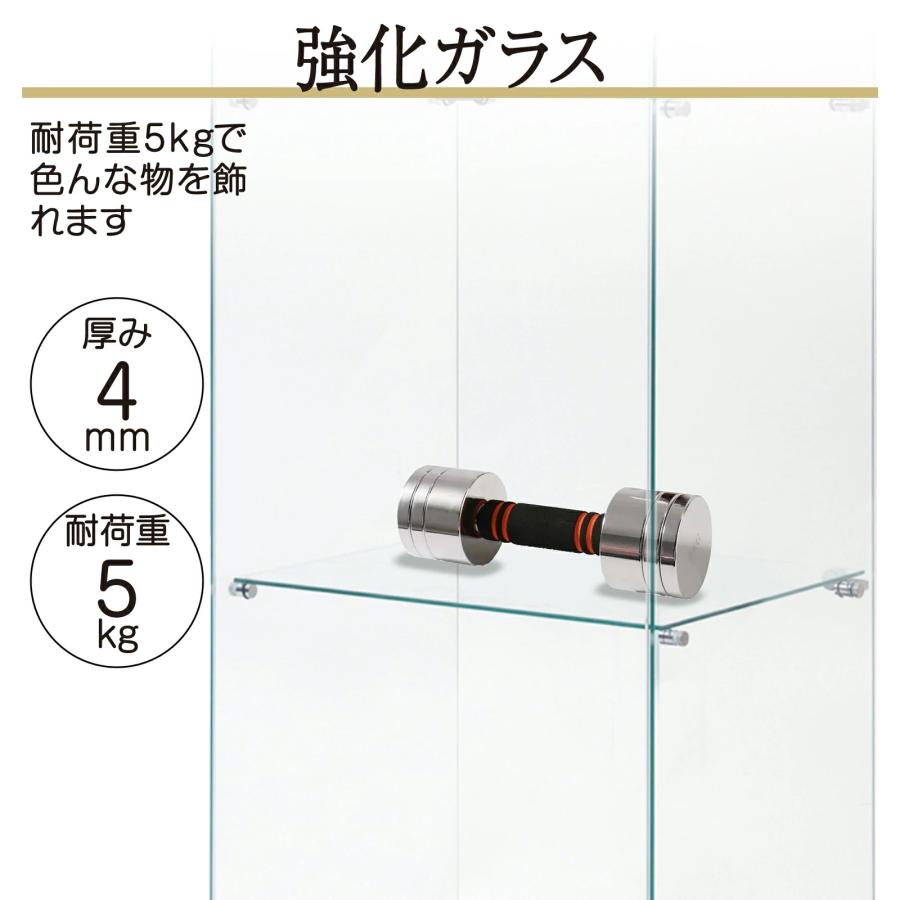 ガラスケース 2段両扉タイプ 背面ミラー付き ワイド 鍵付き