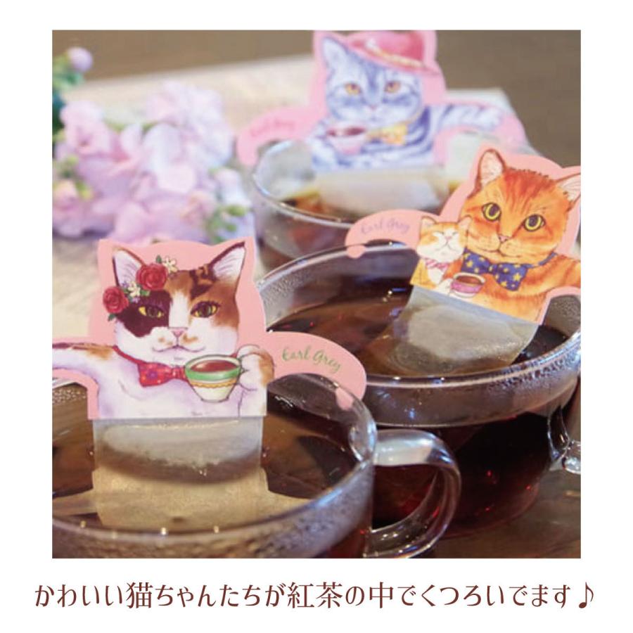 紅茶 ギフト かわいい ネコ ねこ型ティーバッグ 紅茶 アールグレイ ルイボスティー ふち掛け 猫紅茶 N2cat F F508 Set Laluice Yahoo 店 通販 Yahoo ショッピング