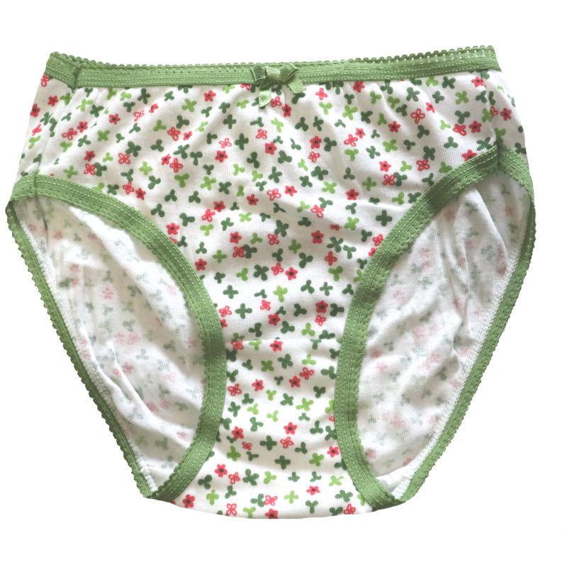 PG 花柄 レディースショーツ Amazon.co.jp: 【MOMONGA】4枚セット 花柄ショーツ レディース