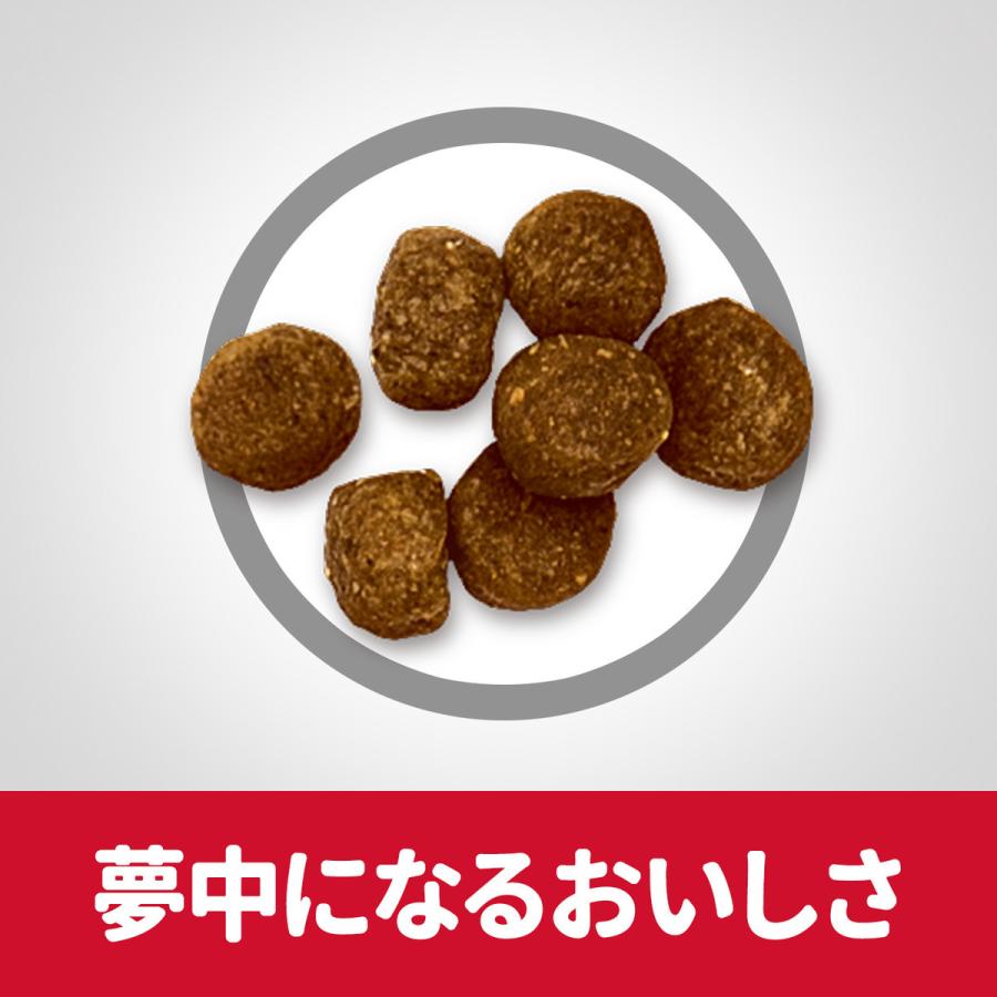 サイエンス・ダイエット シニアプラス 小粒 高齢犬用 10歳以上 チキン 3.3kg |  | 01