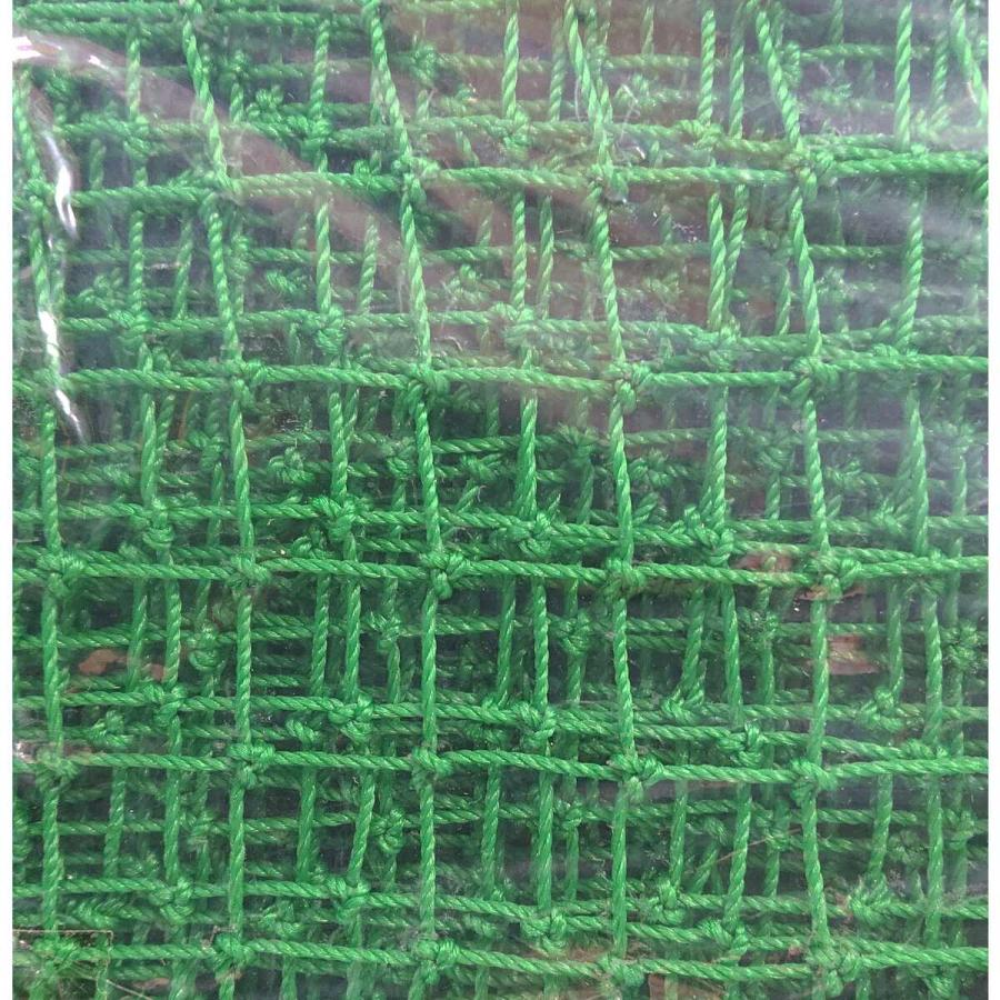 有結ネット 緑 2m×10m 目合25mm 多目的マルチネット アークランズ