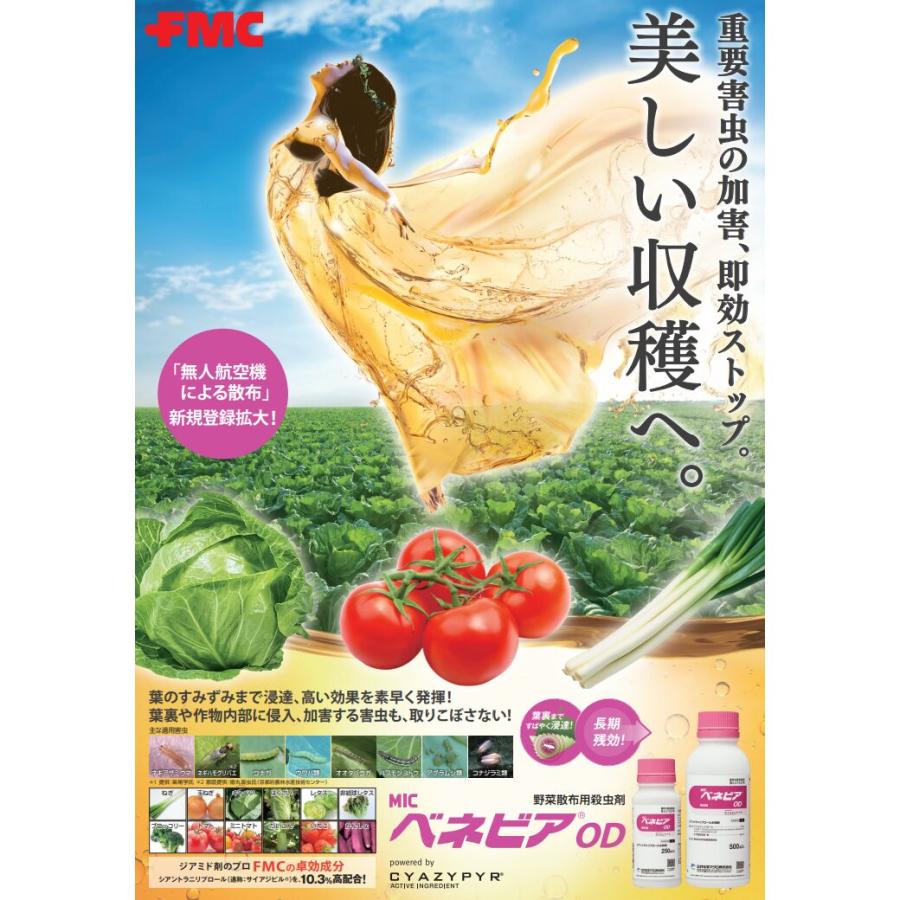ベネビアOD 500mlの画像