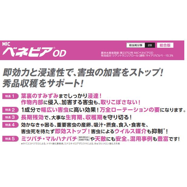 ベネビアOD 500mlの画像