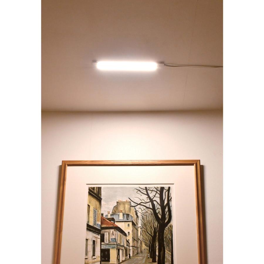 ELPA エルパ LED多目的灯 リモコン付 30cm 電球色相当 ALT-2030RE L