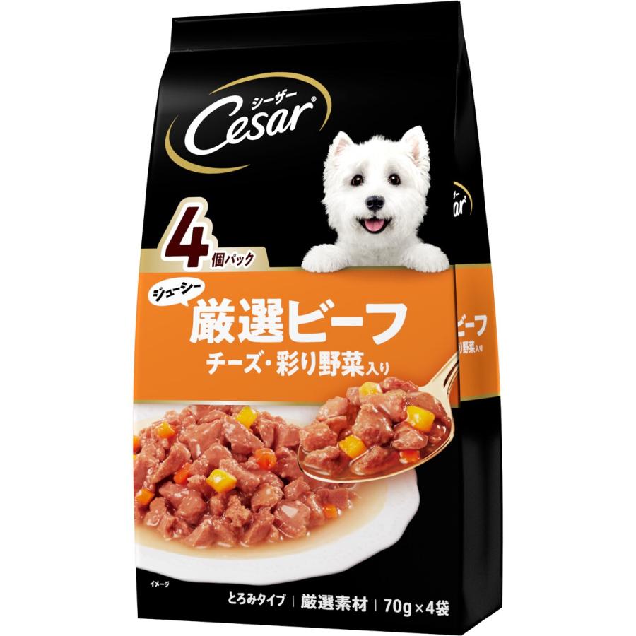 シーザー ジューシー厳選ビーフ入り チーズ・彩り野菜入り 70g×4袋 | 