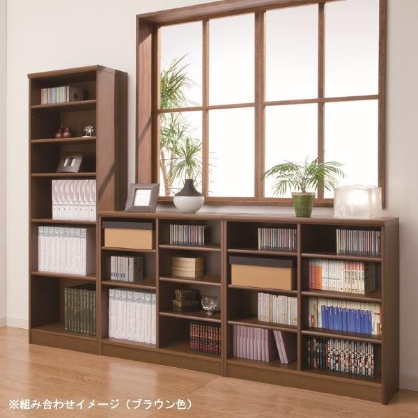 大洋 カラーラック 幅30 高さ200cm NC2030DB ダークブラウン