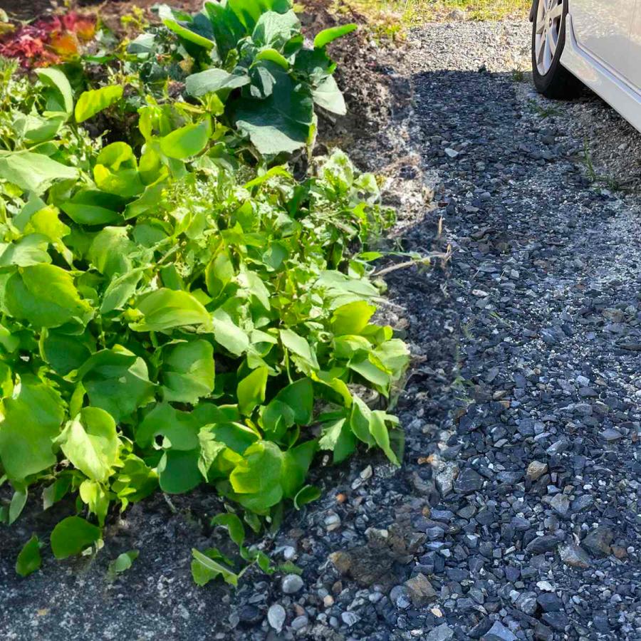 ネクスタイル 路盤材 約960kg(約576リットル) RBZ64 砂利 砕石