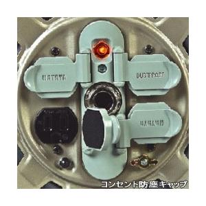 在庫限り」HATAYA ハタヤ サンタイガーリール GT-50 50mコードリール 