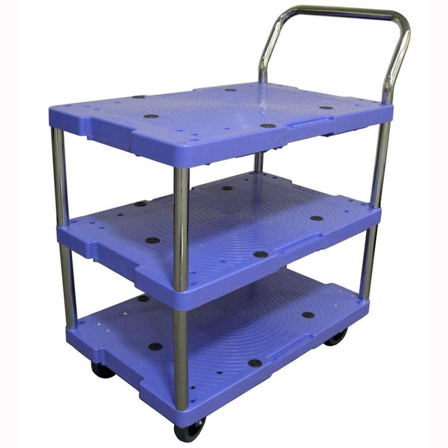 アントン・ブルックナー 魂の山嶺 アントン・ブルックナー—魂の