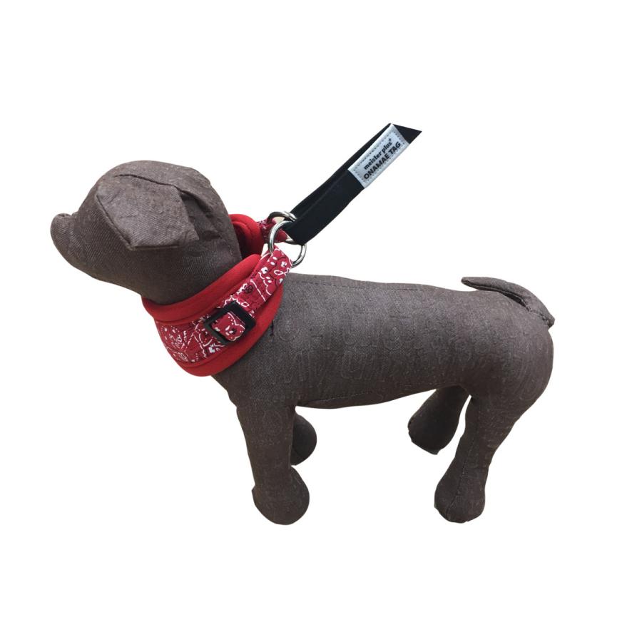 カワノ マイスタープラス はじめてのしつけ首輪 S バンダナ MP2002R 犬用首輪 |  | 01
