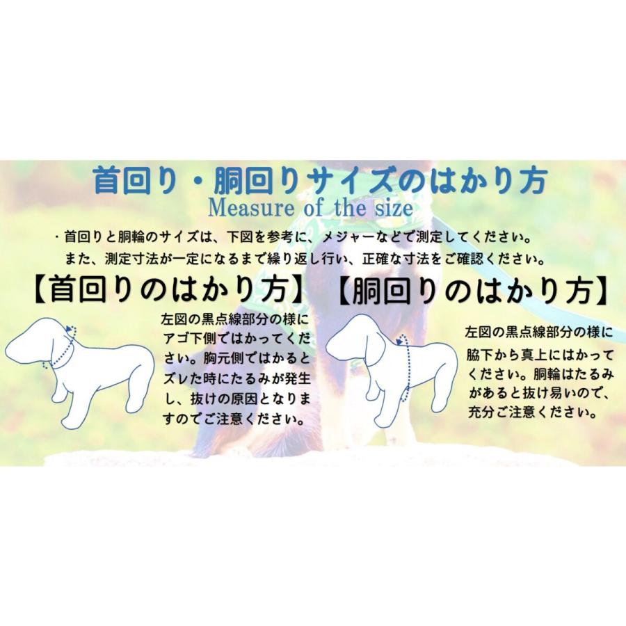 カワノ マイスタープラス はじめてのしつけ首輪 S バンダナ MP2002R 犬用首輪 |  | 05