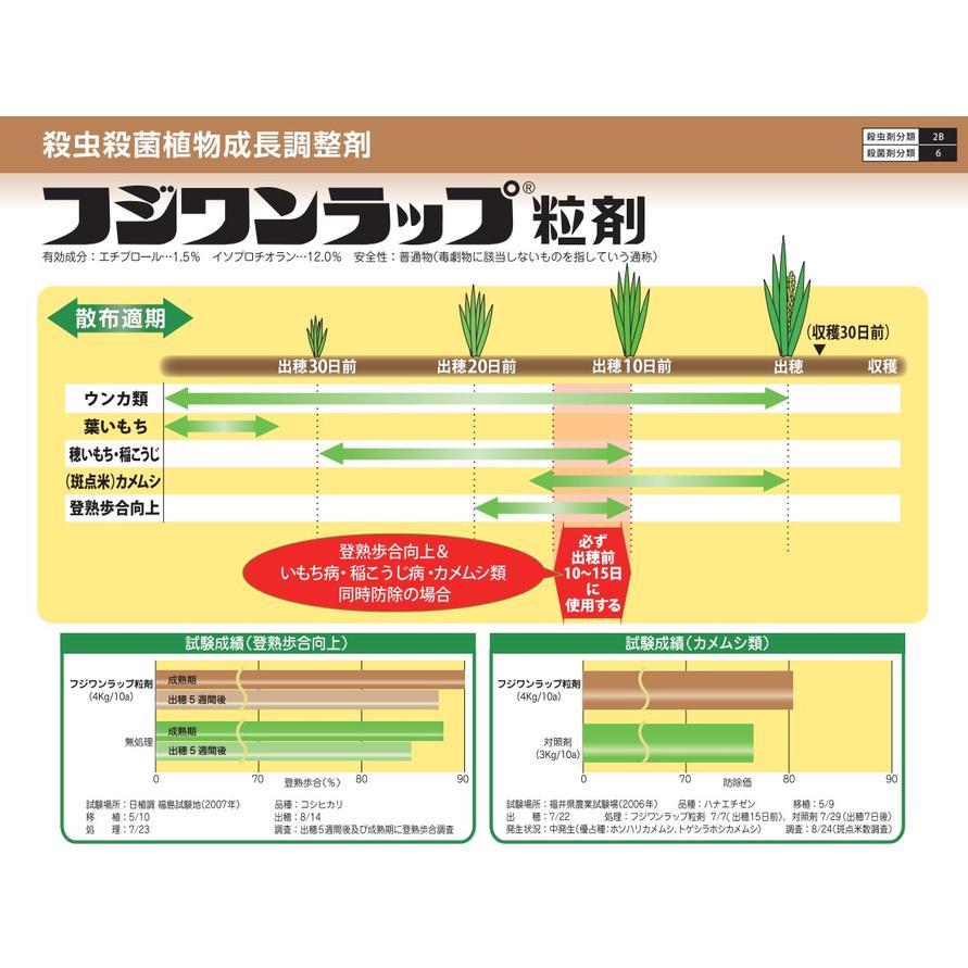 フジワンラップ粒剤 3kg｜lamd2｜03