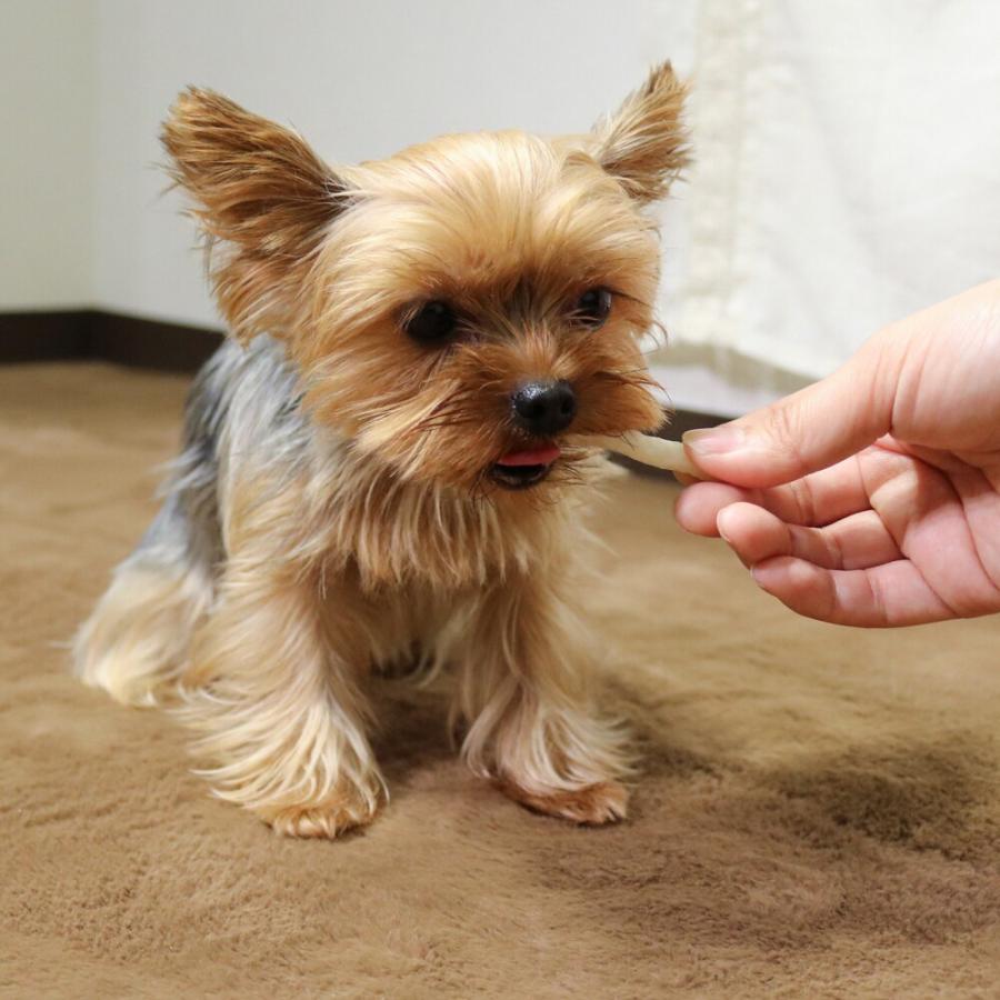 ドギーマン ホワイデント 低脂肪 チューイングスティック 超小型犬用 ミルク味 やわらかタイプ 140g｜lamd2｜03