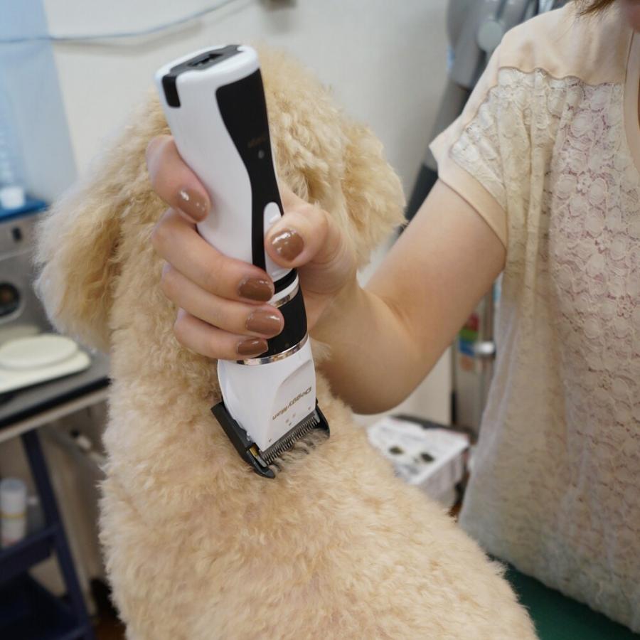 ドギーマン ホームバーバー エキスパートスタイル 犬猫用 バリカン