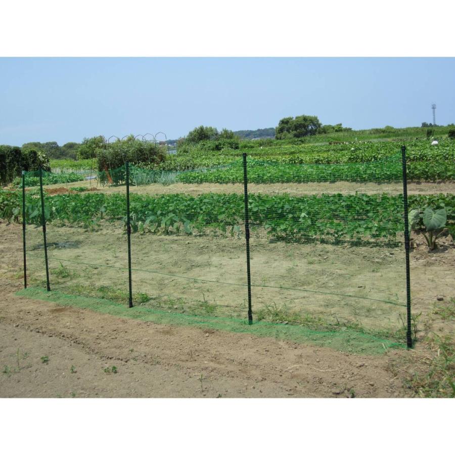 ダイム DAIM 防獣杭 Φ20mm×1500mm ×50本 ケース販売 : Arclands Online