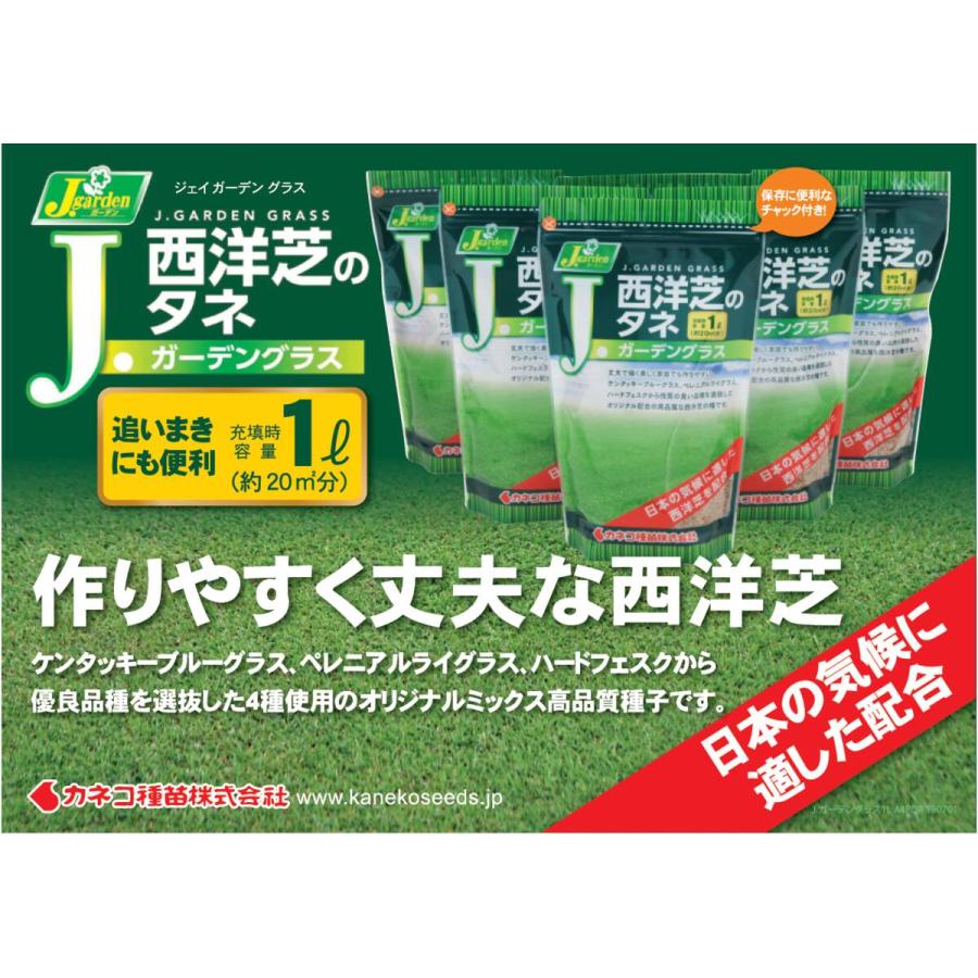つでも カネコ種苗 西洋芝のタネ Jガーデングラス 1l 12個 ケース販売 Clb013 Arcland Online Paypayモール店 通販 Paypayモール として Www Pediatrichealthcarenw Com