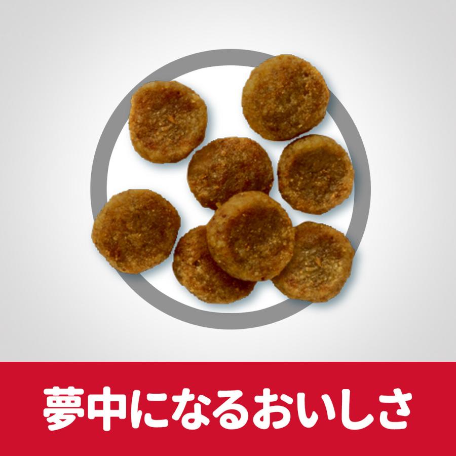サイエンス・ダイエット 小型犬用 アダルト 成犬用 1〜6歳 チキン 3kg | サイエンス・ダイエット | 01