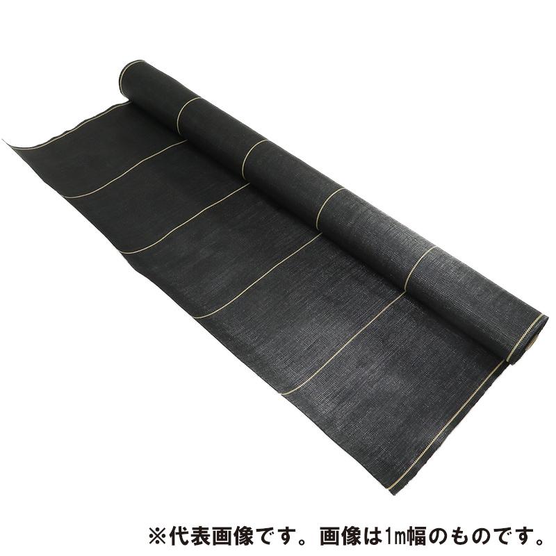 ARCLANDS 防草シート 2m x 50m 10年耐久 耐候年数約10年の防草シート ブラック 2×50m アークランズ 「大型便