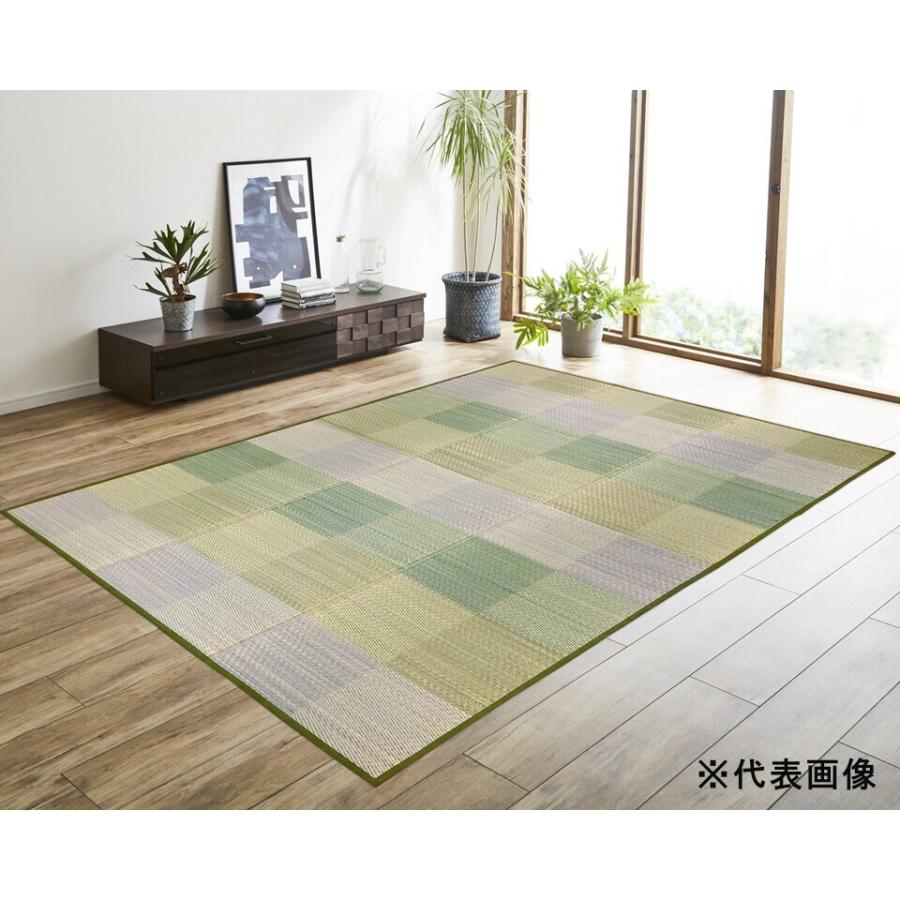 防ダニ・撥水ふっくらラグ クレル 約240×320cm グリーン 「メーカー