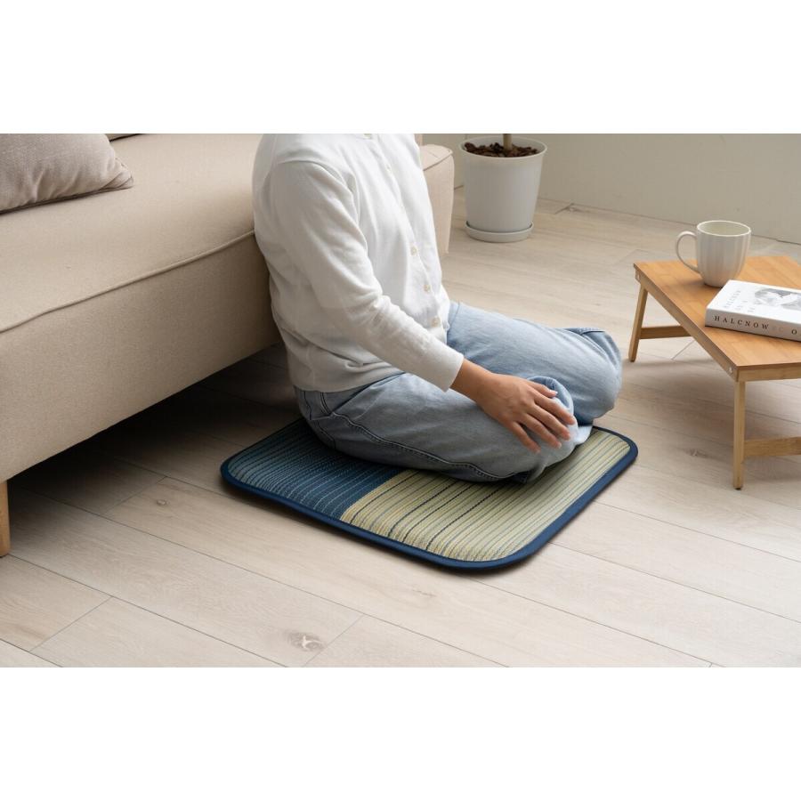い草座布団 ラーデ 約55×55cm ブルー 「メーカー直送・代引不可・置配