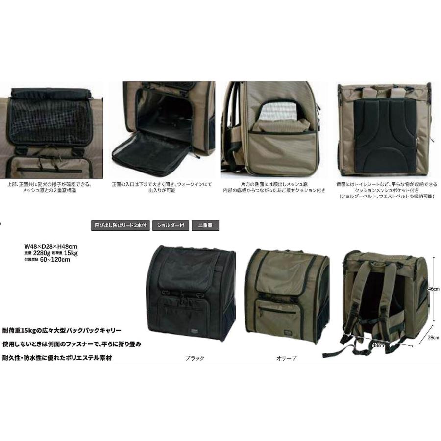 LIFELIKE（ライフライク） フィールドギアバックパック ブラック