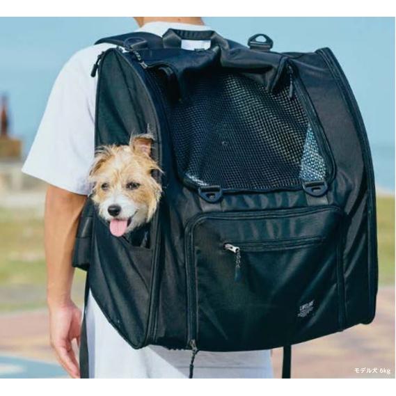 LIFELIKE（ライフライク） フィールドギアバックパック オリーブ