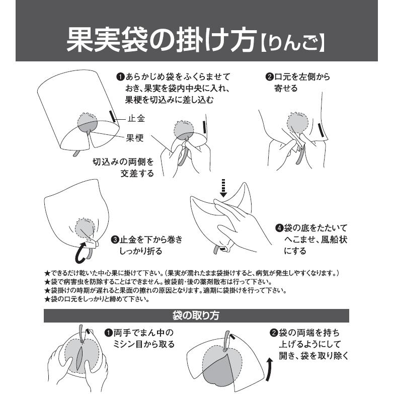 星野 果実袋 りんご サンアップル8切 100枚入りパック : Arclands