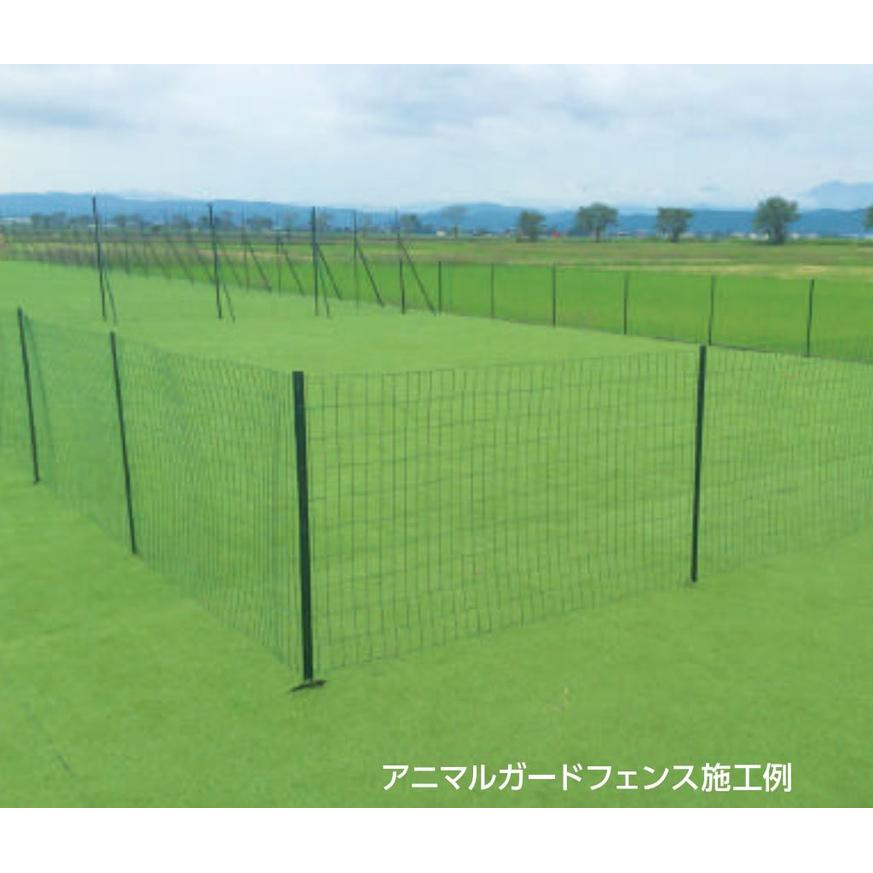 シンセイ 防獣柵 アニマルガードフェンス 斜め支柱付き 高さ2m×長さ20m (240cm専用支柱11本付 網目サイズ10×10cm) [園芸