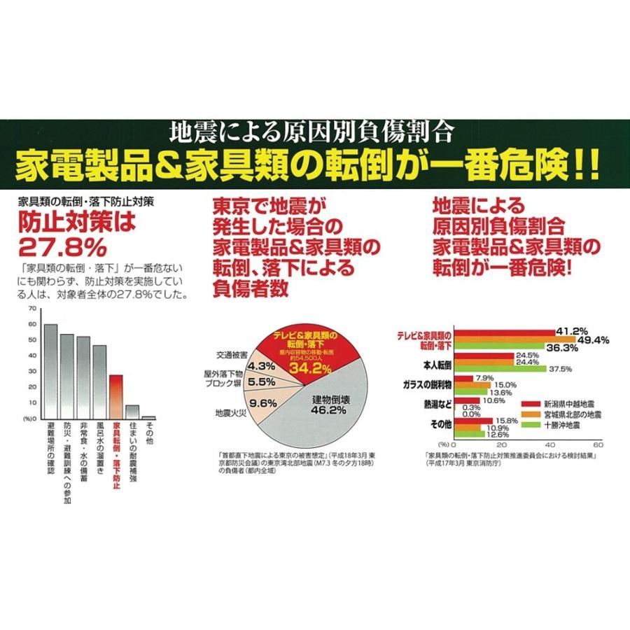 不二ラテックス 不動王Ｌ型固定式 FFT001 |  | 09