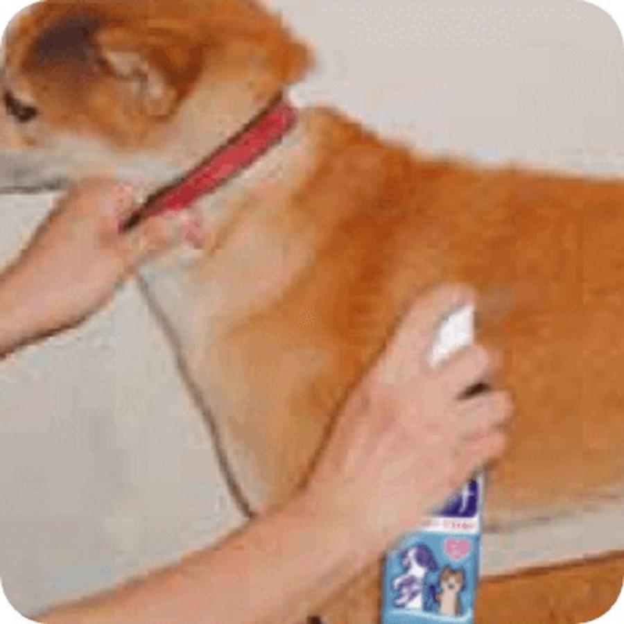 ライオン ペットキレイ ケトリーナ ベビーパウダーの香り 犬 猫用 0ml Arcland Online ヤフー店 通販 Yahoo ショッピング