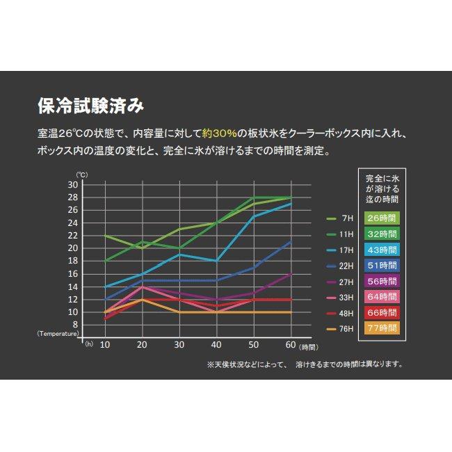 伸和（SHINWA） ホリデーランドクーラー 76H W ホワイト 76L 大型