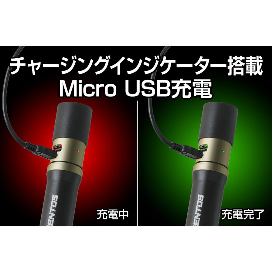 ジェントス REXEEDトーチライト RX-486PB :495065404732:Arclands Online ヤフー店 - 通販 - Yahoo!ショッピング ジェントス REXEEDトーチライト RX-486PB :495065404732:Arclands Online ヤフー店 - 通販 - Yahoo!ショッピング