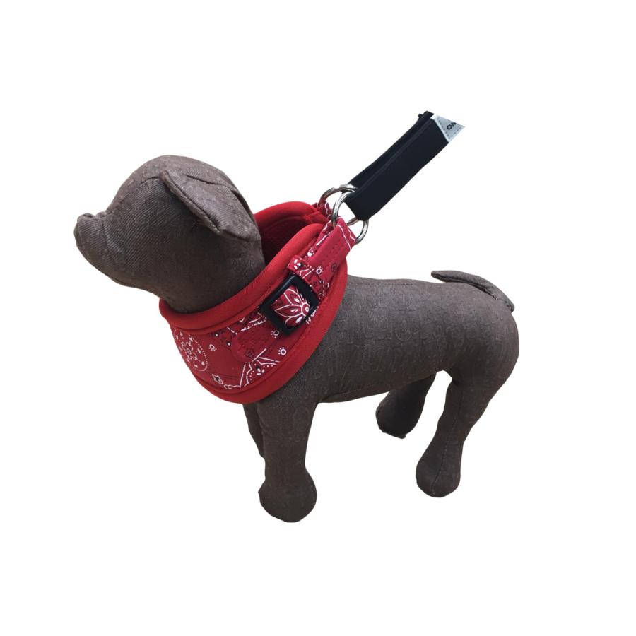 カワノ マイスタープラス はじめてのしつけ首輪 Ｍサイズ バンダナ MP2003R 犬用首輪 | MeiSTER | 01