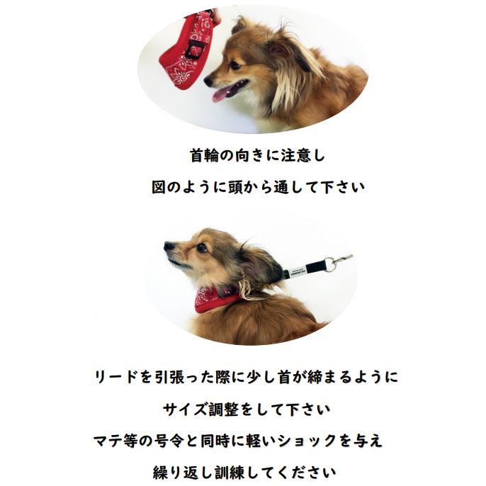 カワノ マイスタープラス はじめてのしつけ首輪 Ｍサイズ バンダナ MP2003R 犬用首輪 | MeiSTER | 03