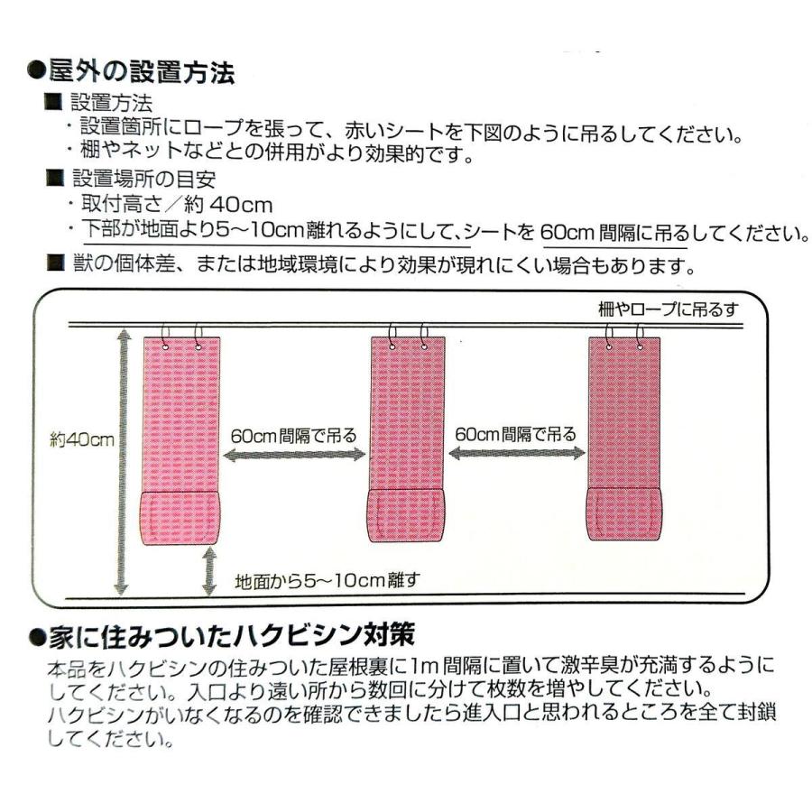 長谷弘 ハクビシンなぜ逃げる 6枚入 : 496303440072 : Arclands Online 
