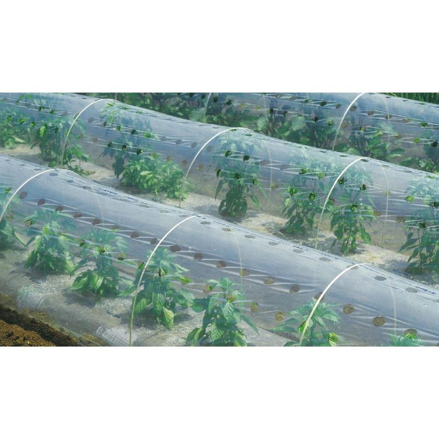 みかど化工　農業用トンネルフィルム　ユーラックカンキ　0.05×210×100m　「メーカー直送・代引不可」　3号