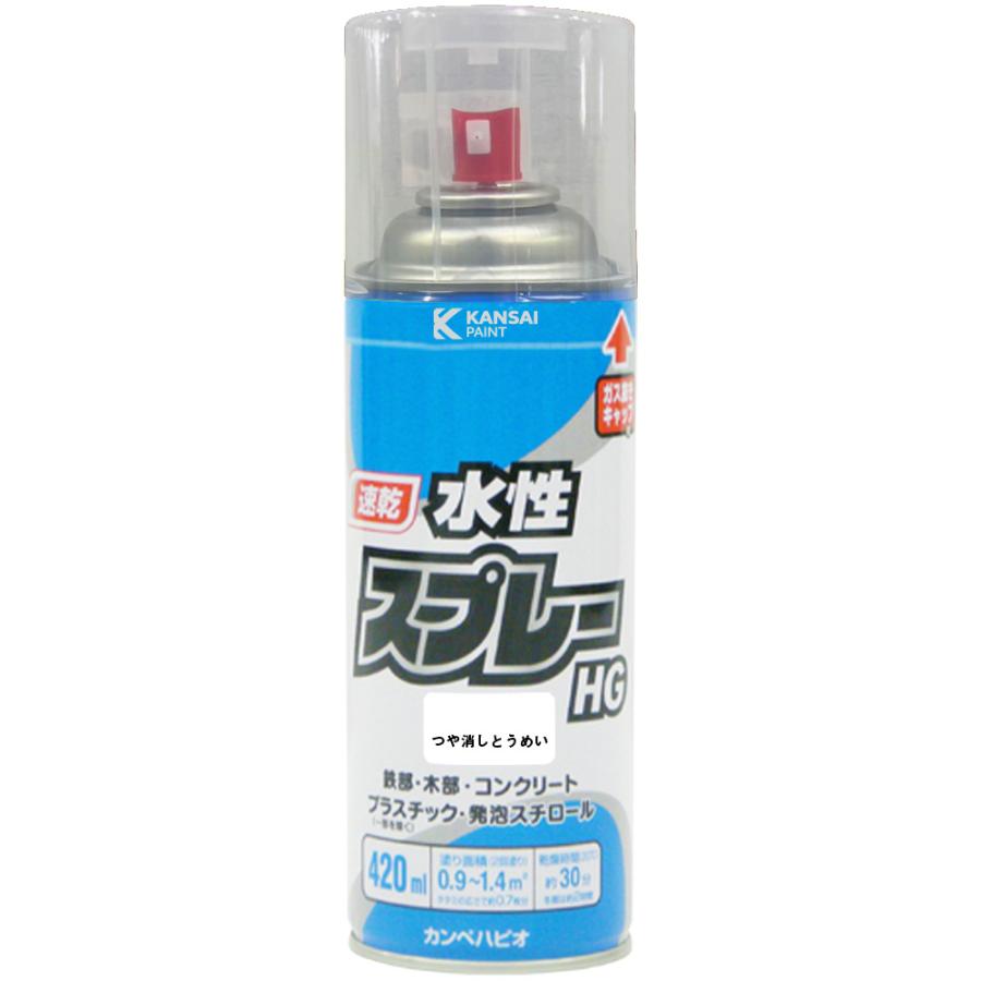 カンペハピオ（Kanpe Hapio） 水性スプレーHG 420ml つや消とうめい
