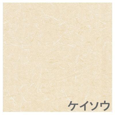 TOSO トーソー アクシエ アコーディオンドア 100×178 ケイソウ