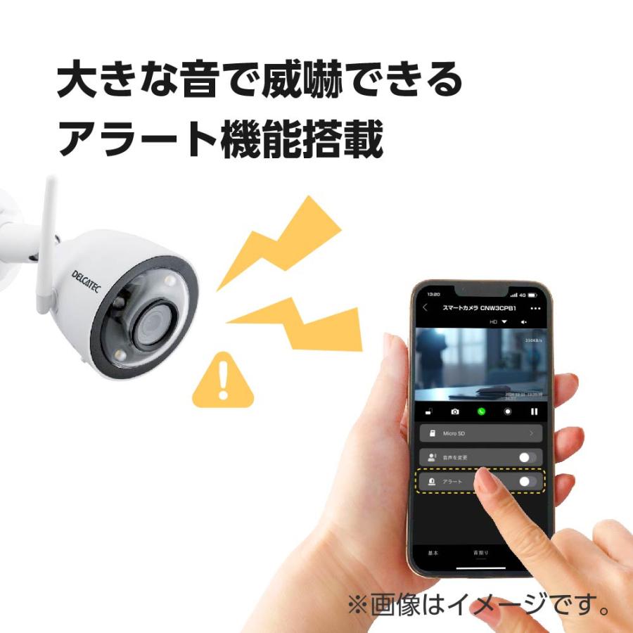 デルカテック ワイヤレスカメラ CNW4CBFL1 : Arclands Online ヤフー店