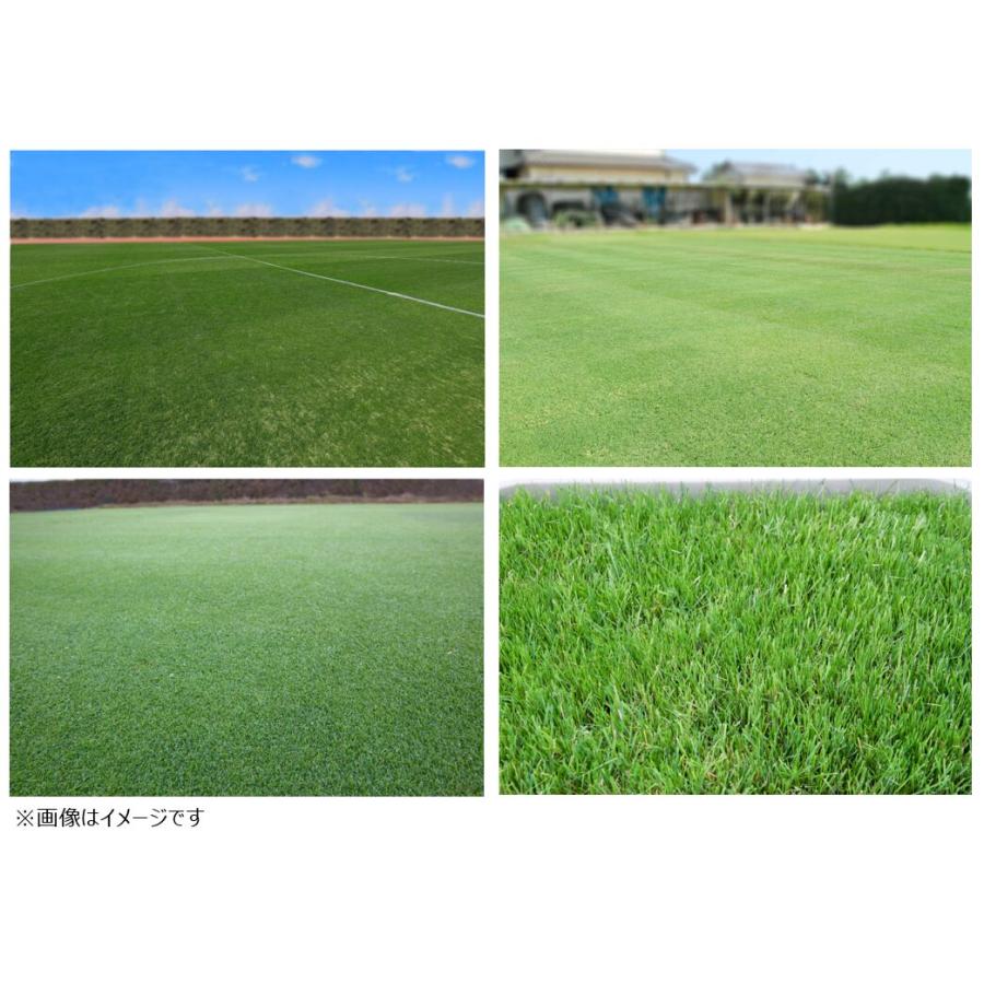 カネコ種苗 西洋芝のタネ ｊガーデングラス タフグリーン 1 5l 10個 ケース販売 Clb511 S Arcland Online ヤフー店 通販 Yahoo ショッピング