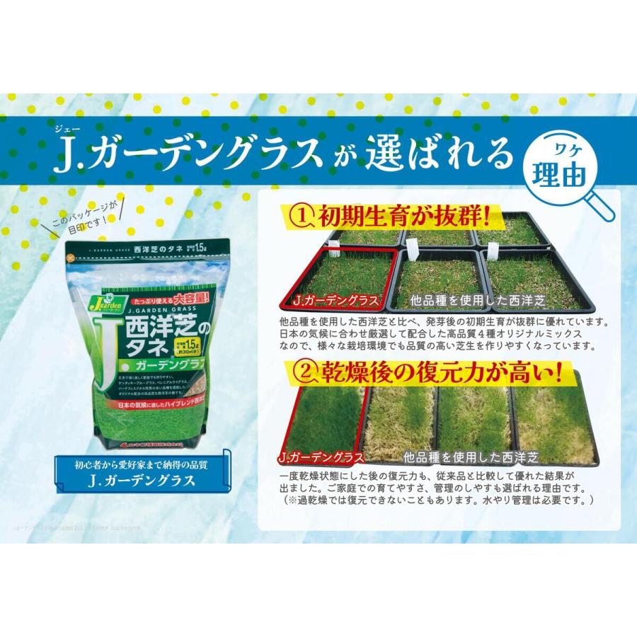 カネコ種苗 西洋芝のタネ Ｊガーデングラス 800ml ×16個 ケース販売_3