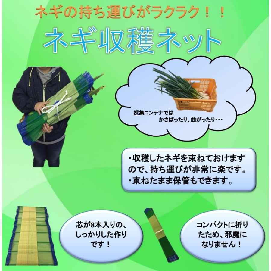 法人限定」シンセイ ネギ収穫ネット 600×1250mm ×40個 セット販売