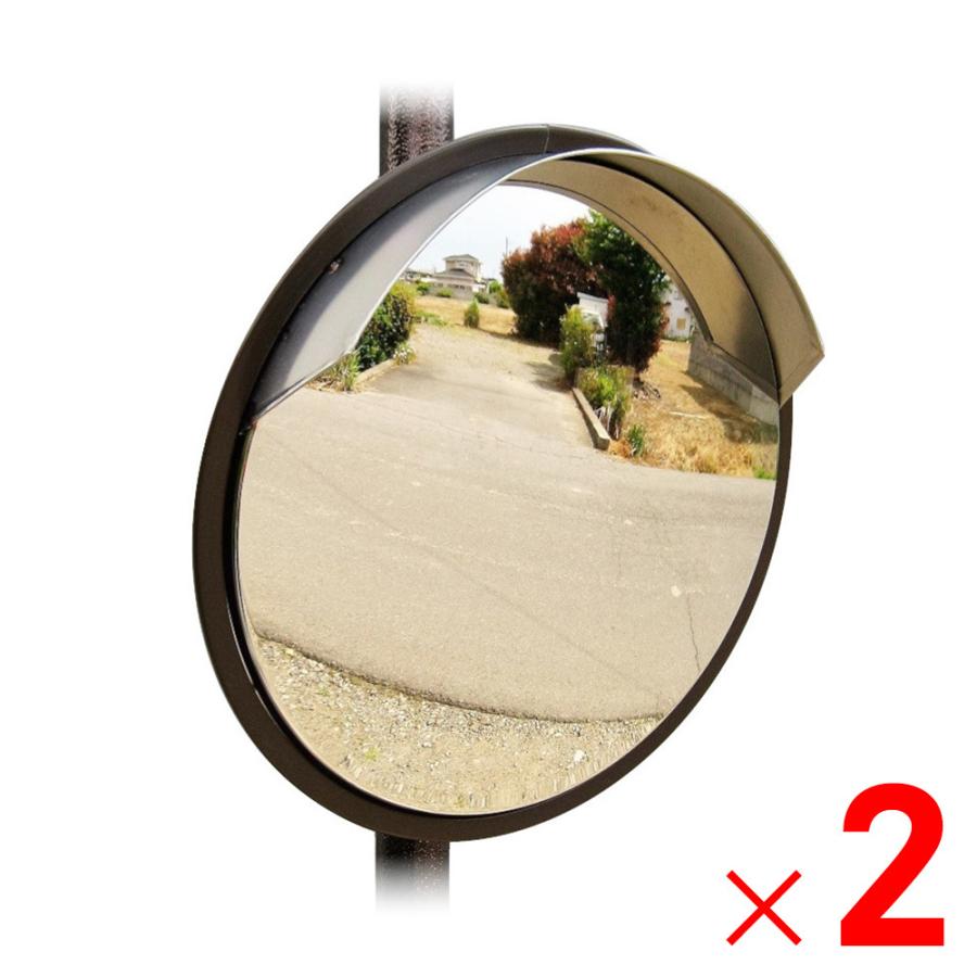 サンケイ技研 ステンレスミラー 径300 ポール式 ブラウン ×2個 セット販売 | 